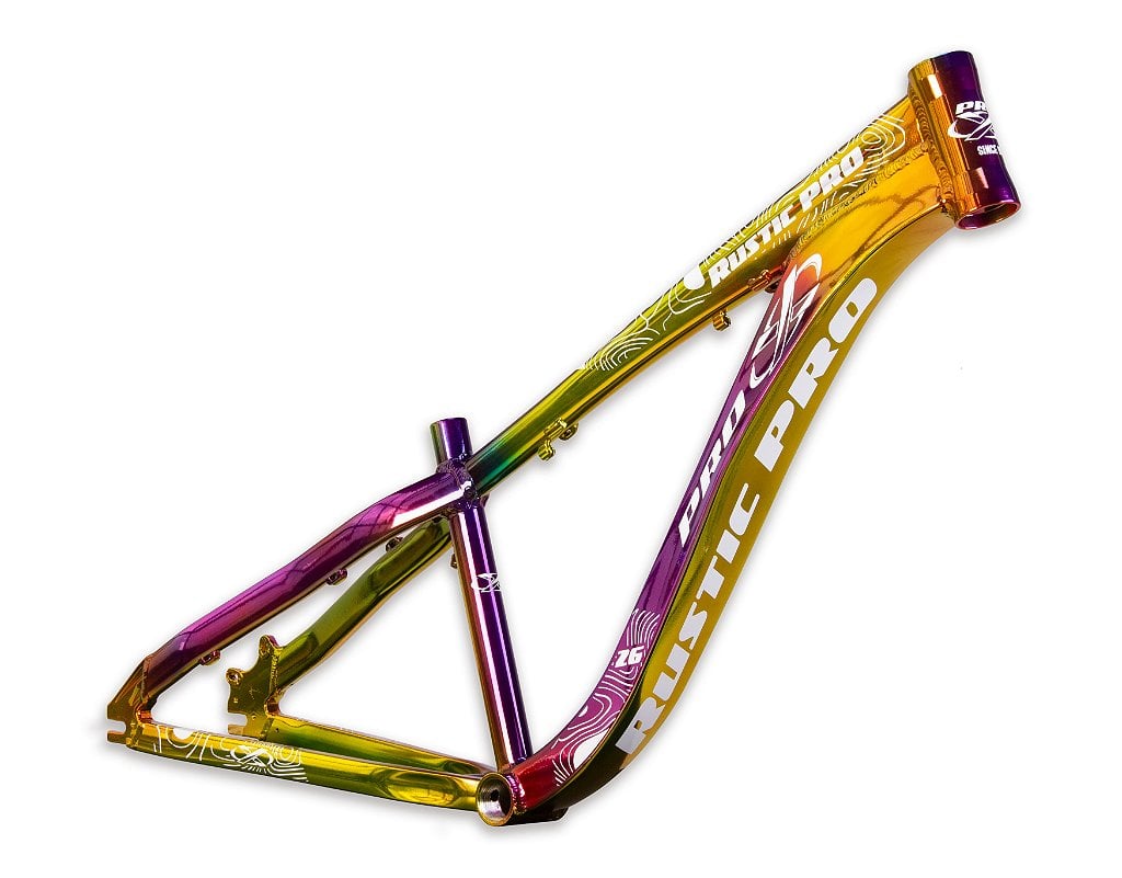 Quadro pro-x rustic pro 2026 - camaleão