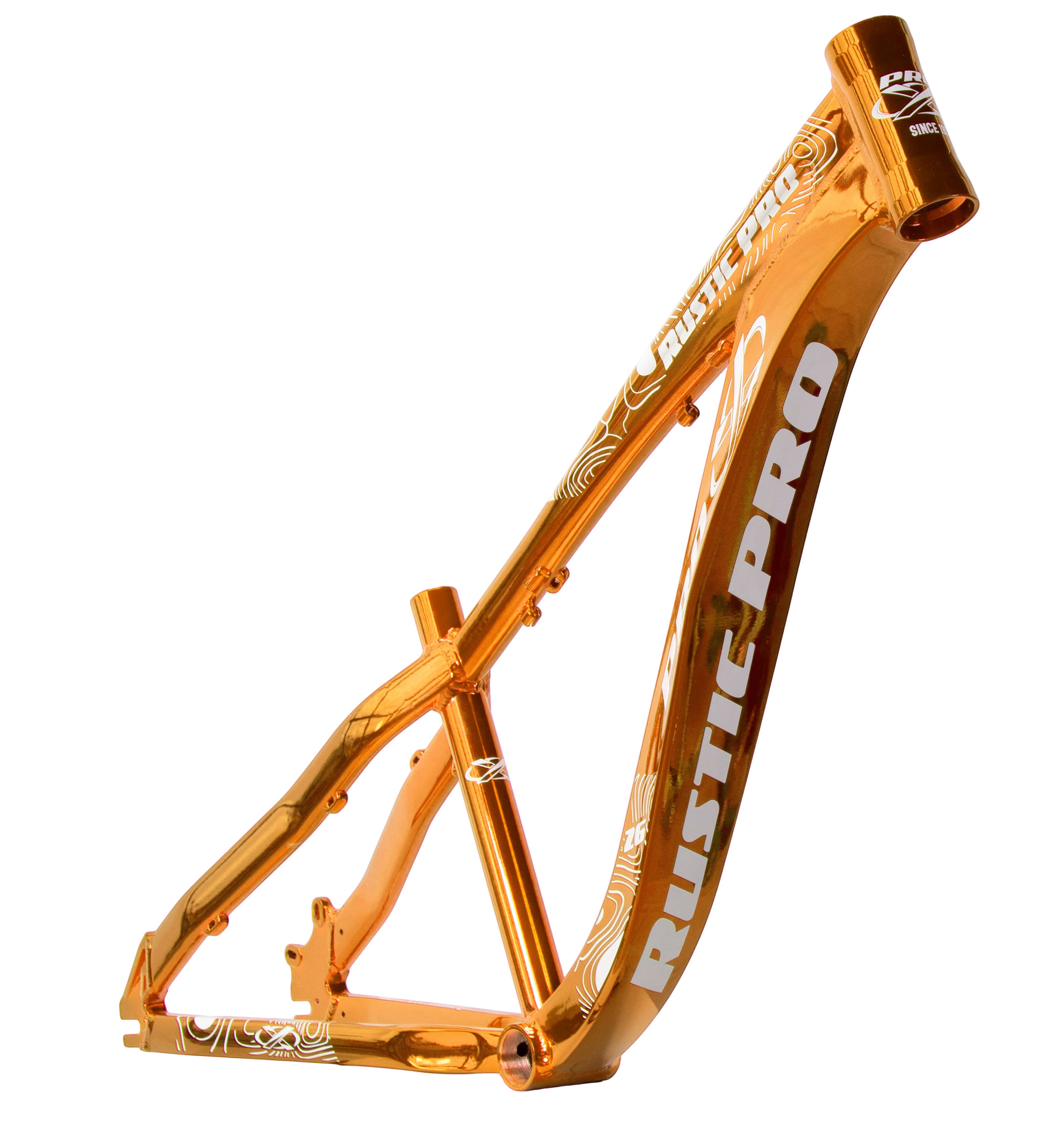 Quadro pro-x rustic pro 2026 - dourado chromo